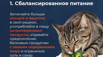 Пять привычек, которые важно сформировать в молодости, чтобы сохранить здоровье на долгие годы