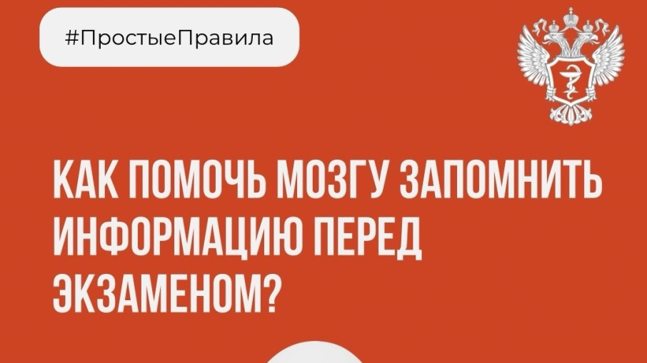 Как помочь мозгу запомнить информацию перед экзаменом?.